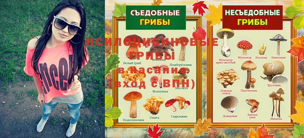 бутират Богородицк