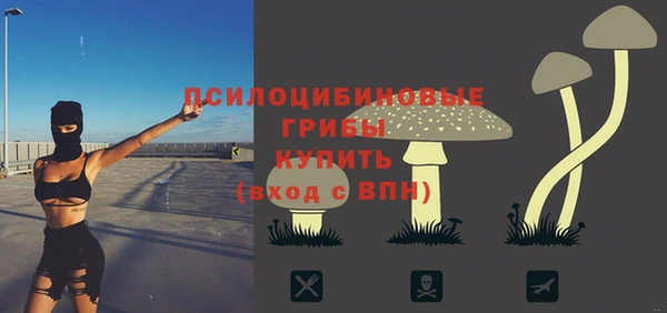 бутират Богородицк