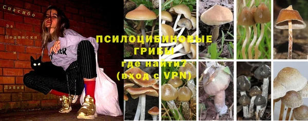 трава Богданович