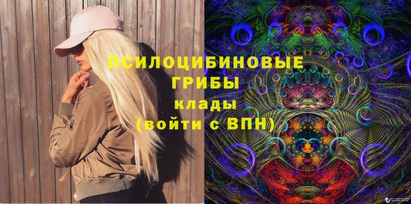 бутират Богородицк