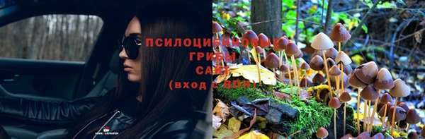 бутират Богородицк