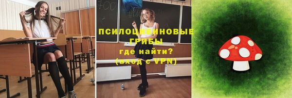 трава Богданович