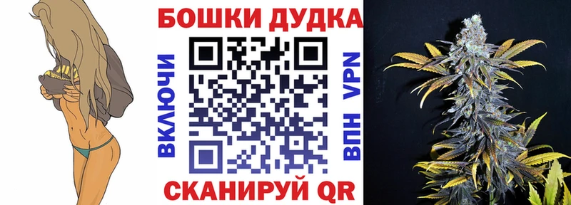 где продают   Славгород  Конопля семена 